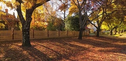 Finch Street - Beechworth - VIC T (PBH4 00 13919)